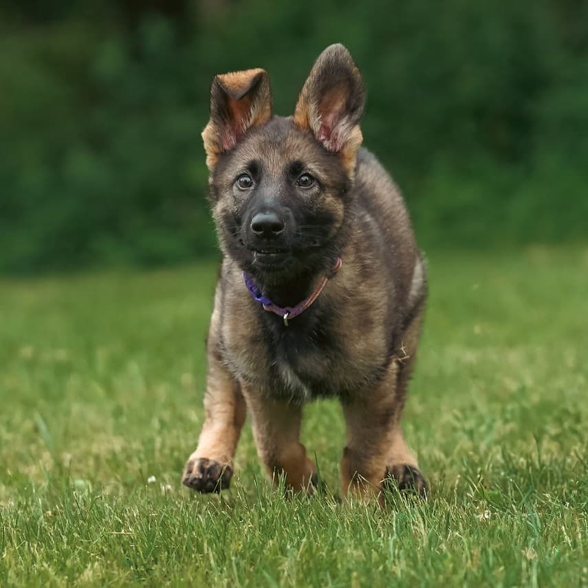 2023 Awards Ceremony 1